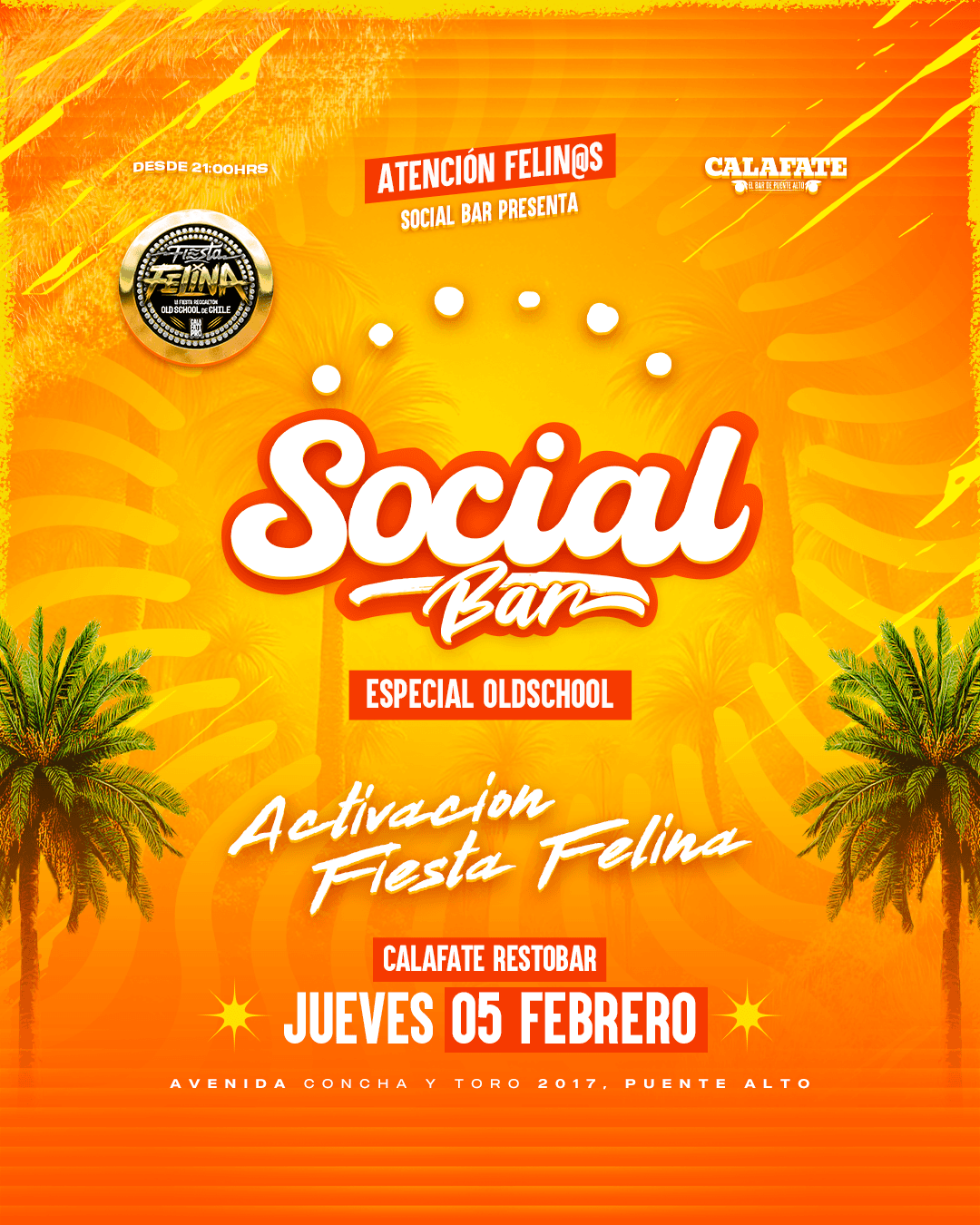 Social Bar - Especial Fiesta Felina